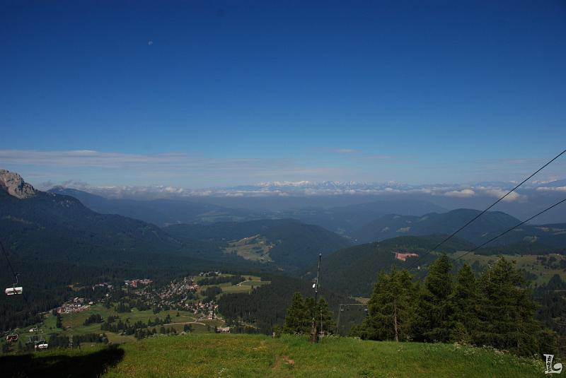 Federspiel-001.JPG