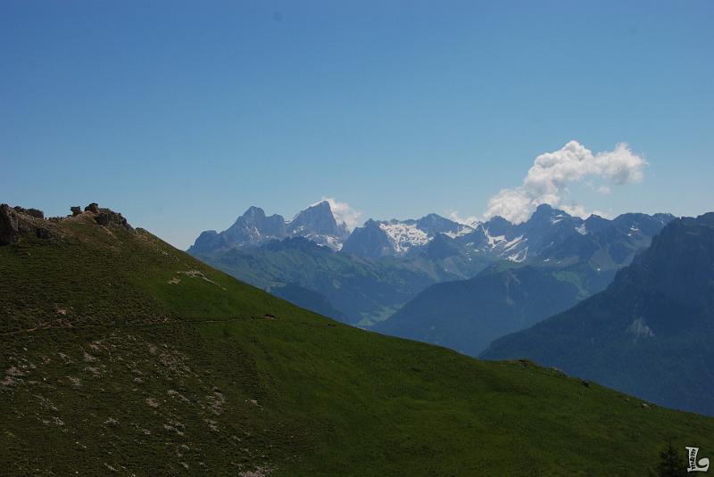 Federspiel-021.JPG