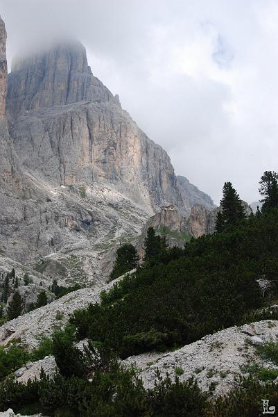 TorriVaiolet-014.JPG