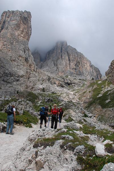 TorriVaiolet-017.JPG