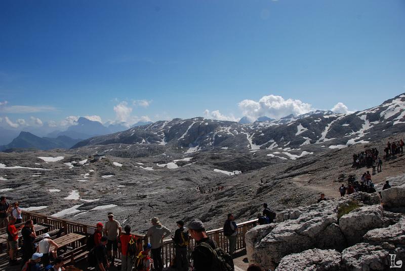 PaleDiSanMartino-008.JPG