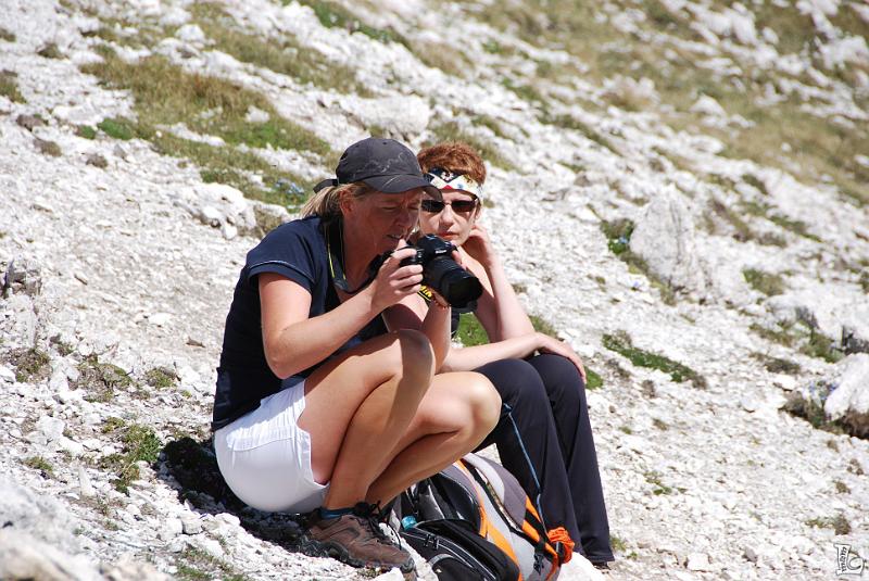 PaleDiSanMartino-030.JPG