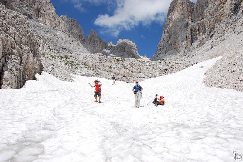 PaleDiSanMartino-061.JPG