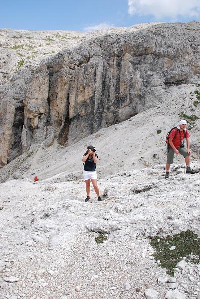 PaleDiSanMartino-079.JPG