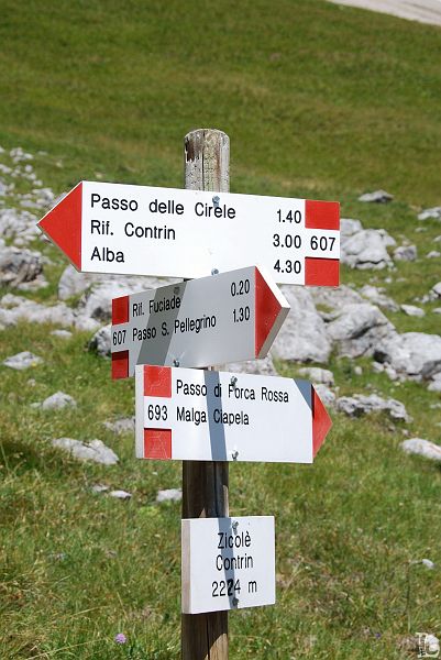 051.JPG